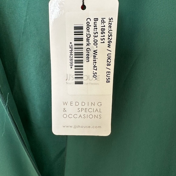 Sheath/Column scoop neck floor length Chiffon Hunter Green - Picture 14 of 14